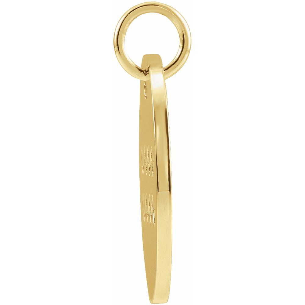14K Yellow Gold 16.5 mm Aquarius Zodiac Disc Charm Pendant