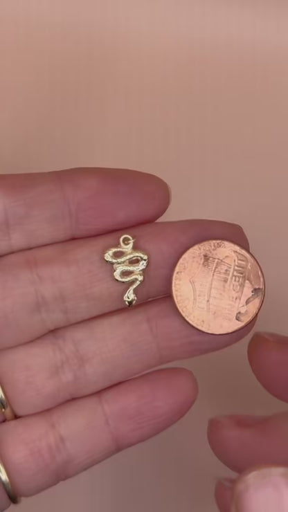 14k Yellow Gold Year of the Snake Serpent Charm, 15.1x9.8 mm