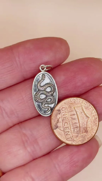 Solid 925 Sterling Silver Snake Pendant on Oval Disk